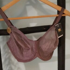Wacoal Bra